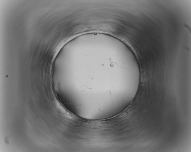 X0000100761532200807101715