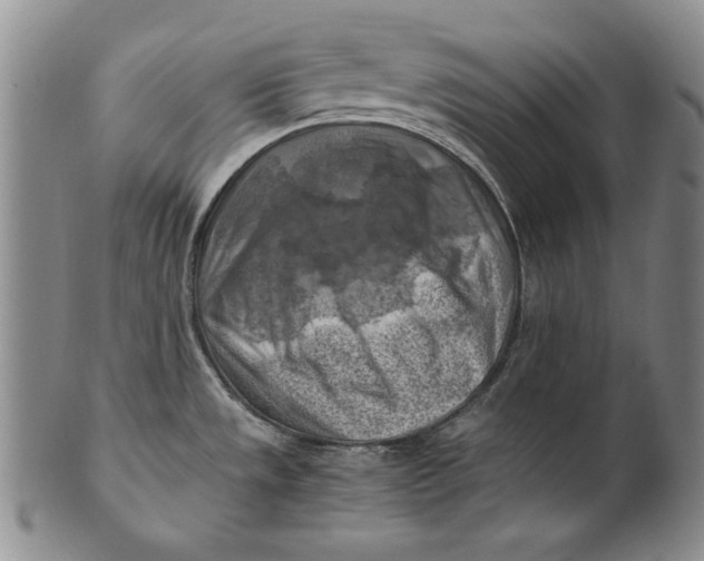 X0000100761533200807101715