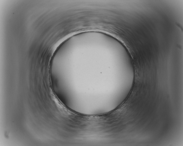 X0000100761534200807101715