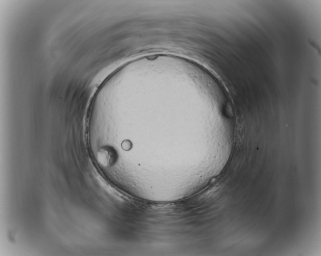 X0000100761535200807101715