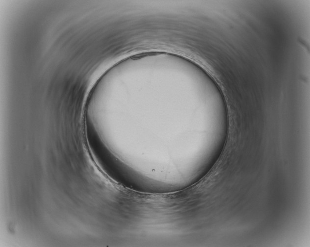 X0000100761536200807101715