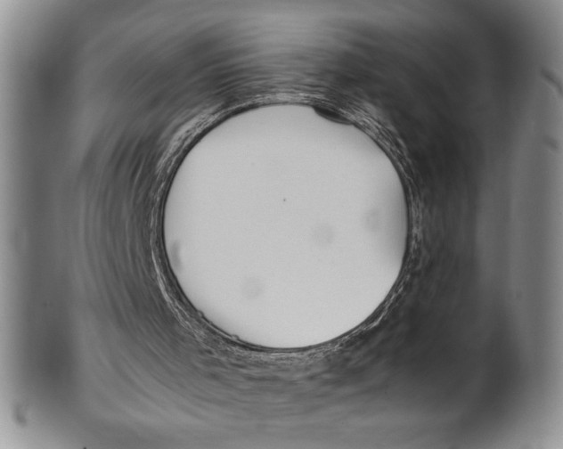 X0000100760001200807171352
