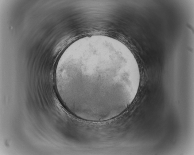 X0000100760002200807171352