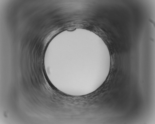 X0000100760003200807171352