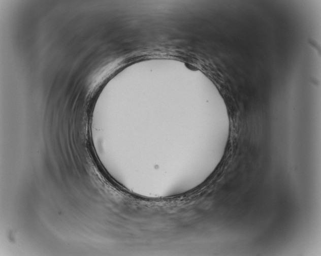 X0000100760005200807171352