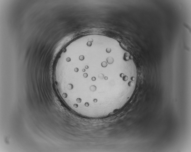 X0000100760006200807171352
