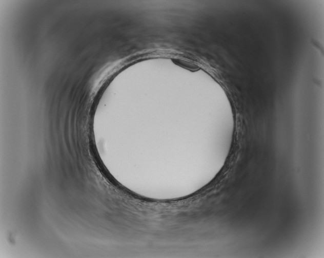 X0000100760007200807171352