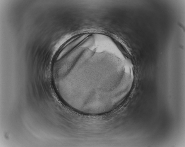X0000100760008200807171352