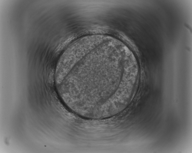X0000100760009200807171352