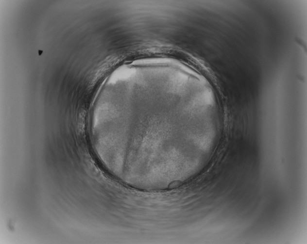 X0000100760010200807171352