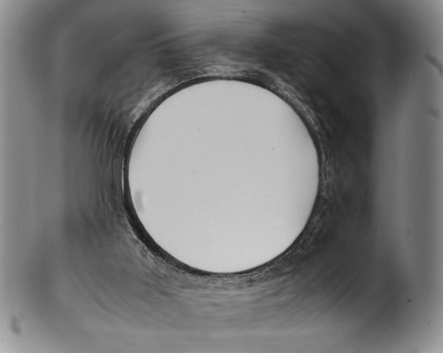 X0000100760011200807171352