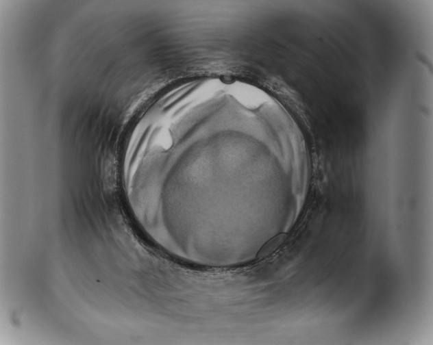 X0000100760012200807171352