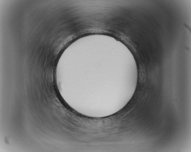 X0000100760015200807171352