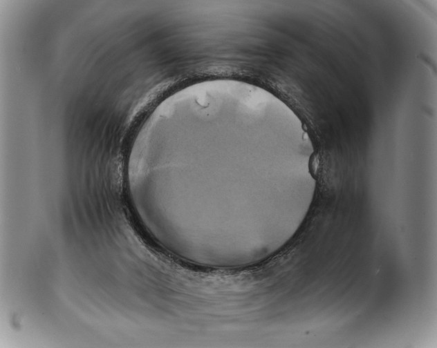 X0000100760016200807171352
