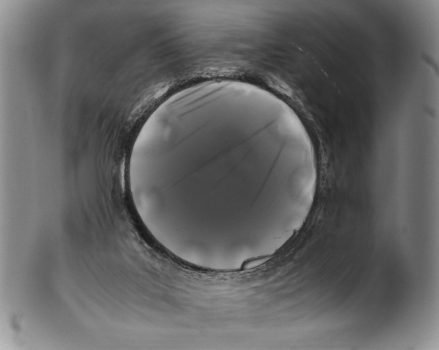 X0000100760019200807171352