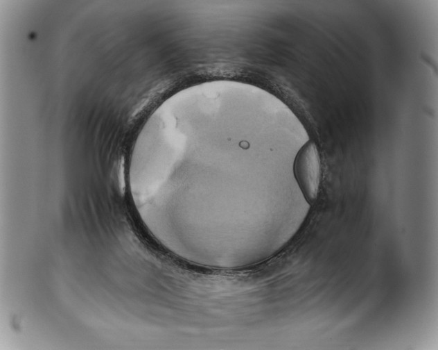 X0000100760020200807171352
