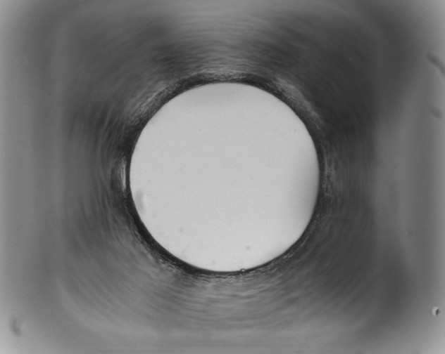 X0000100760021200807171352