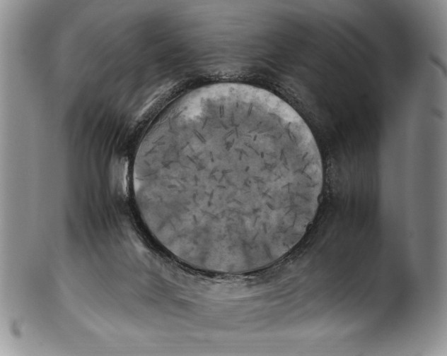 X0000100760024200807171352
