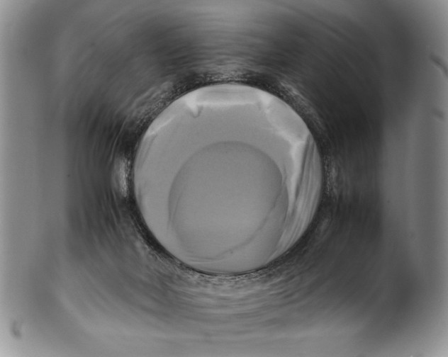 X0000100760026200807171352
