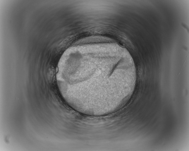 X0000100760029200807171352