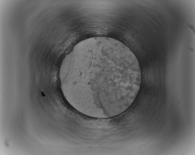 X0000100760032200807171352