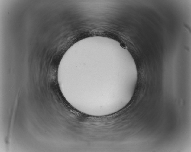 X0000100760033200807171352