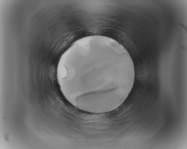 X0000100760036200807171352
