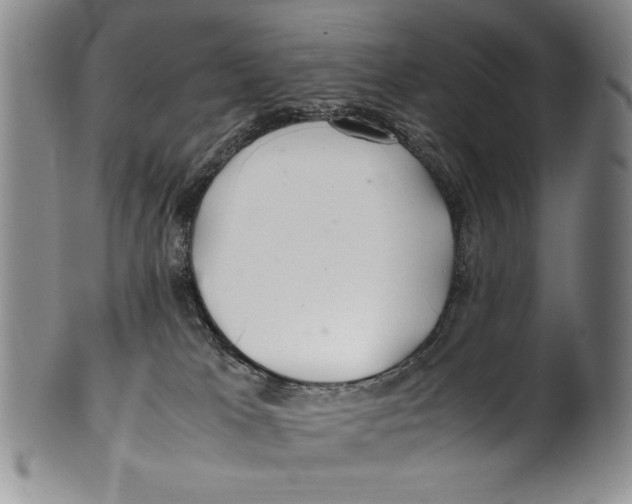 X0000100760037200807171352