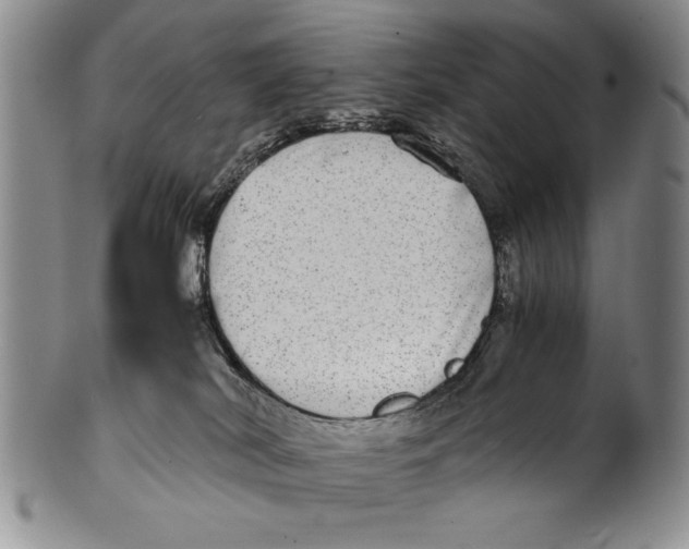 X0000100760038200807171352