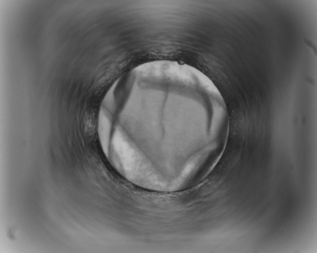 X0000100760040200807171352