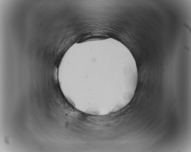 X0000100760041200807171352