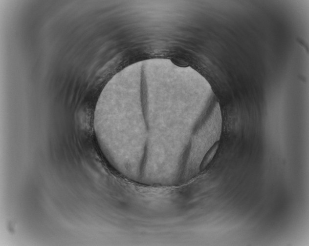 X0000100760044200807171352
