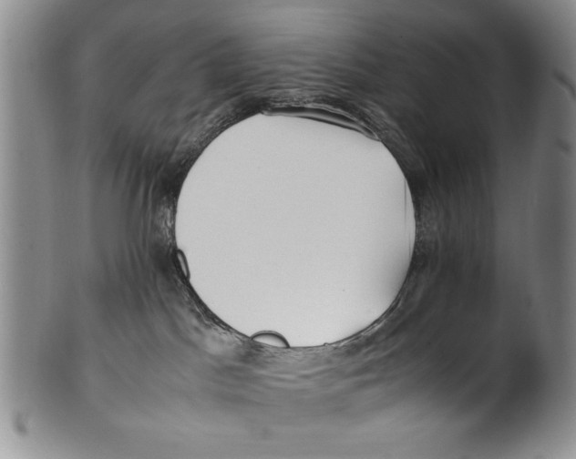 X0000100760045200807171352