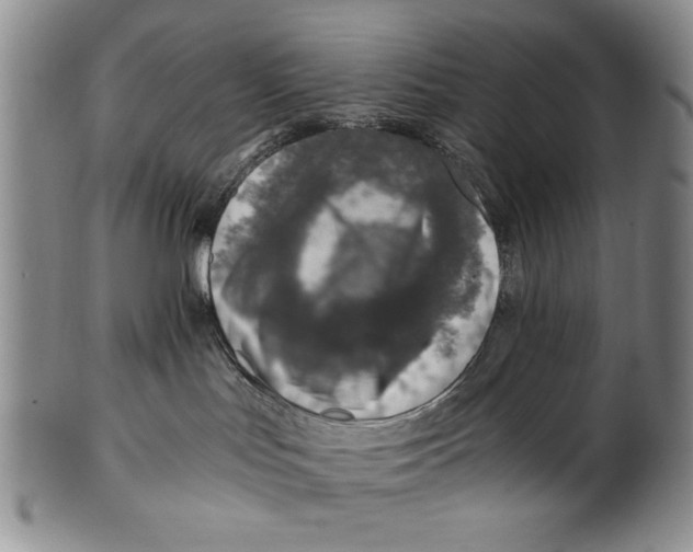 X0000100760047200807171352