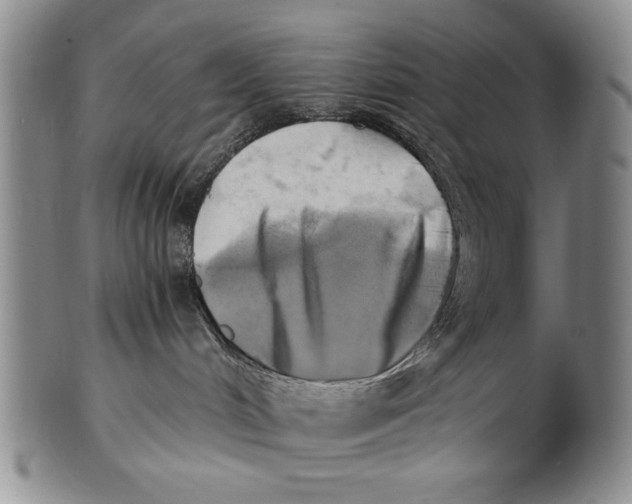 X0000100760048200807171352