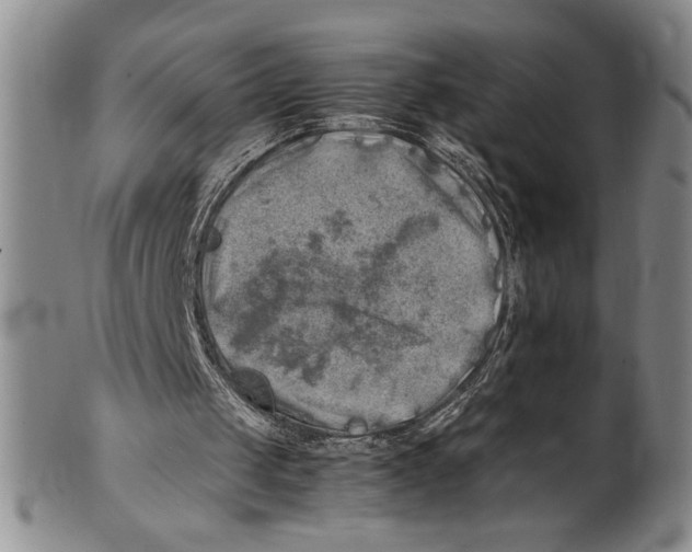 X0000100760049200807171351