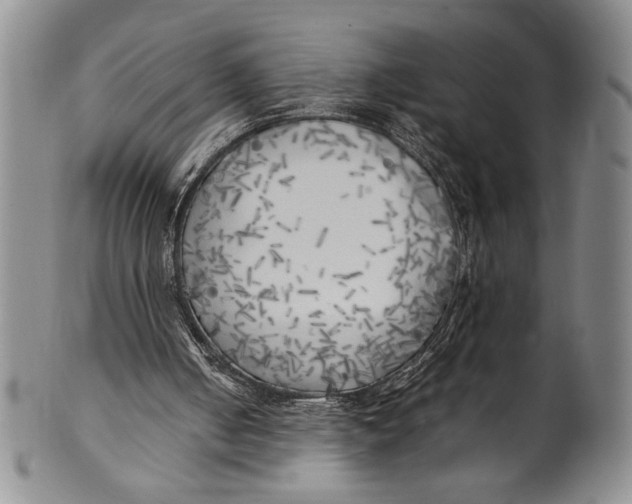 X0000100760050200807171351