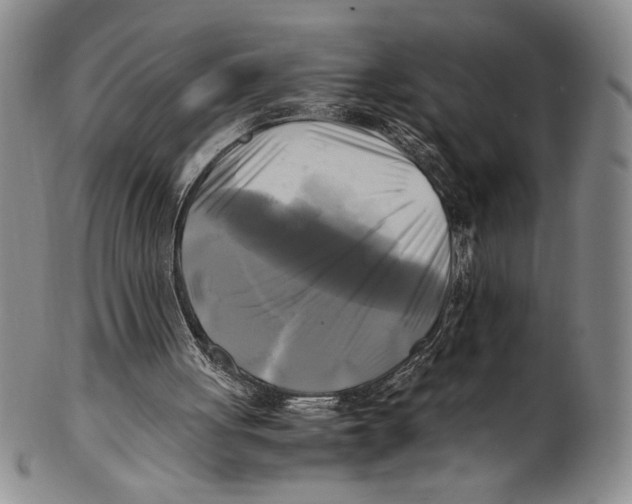 X0000100760051200807171351