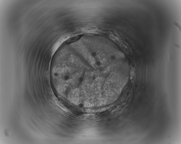 X0000100760052200807171351