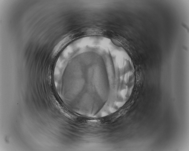 X0000100760053200807171351