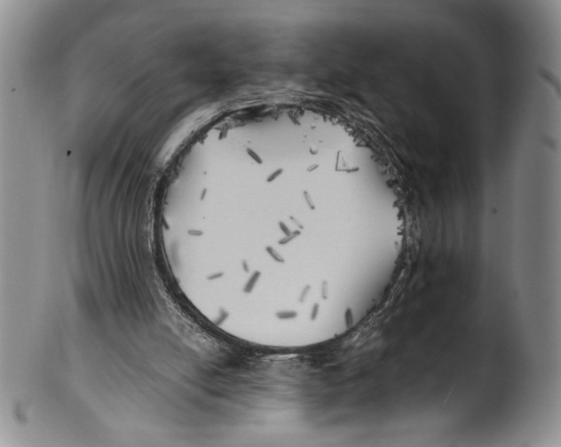 X0000100760054200807171351