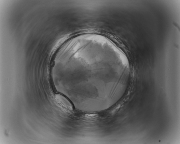 X0000100760055200807171351