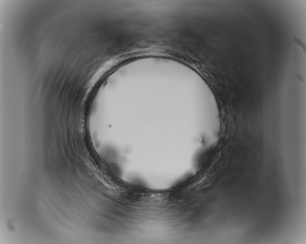 X0000100760056200807171351