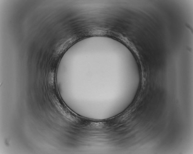 X0000100760057200807171351