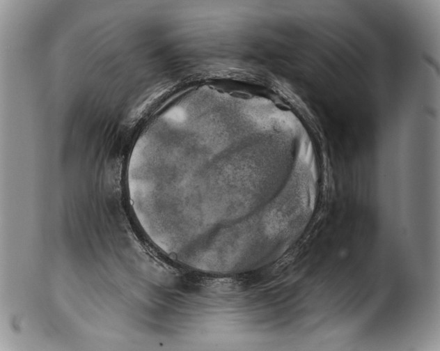 X0000100760058200807171351