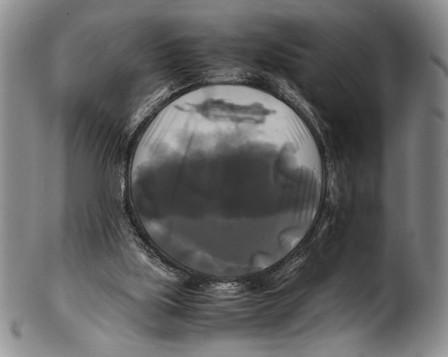 X0000100760059200807171351