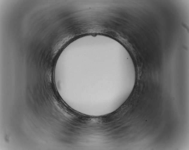 X0000100760060200807171351