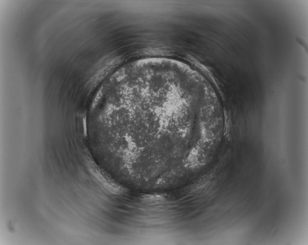 X0000100760061200807171351