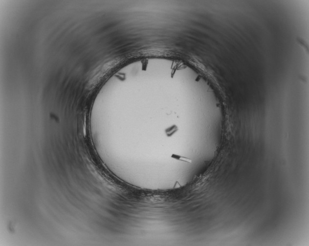 X0000100760062200807171351