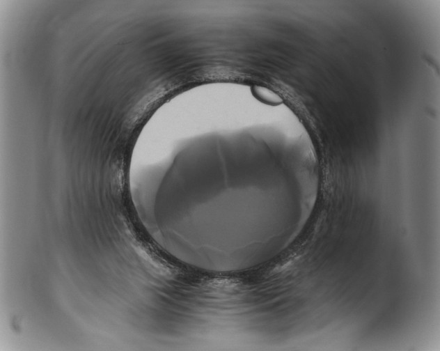 X0000100760063200807171351